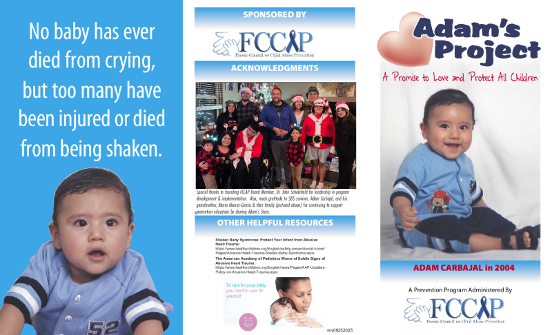 Adam's Project Brochure